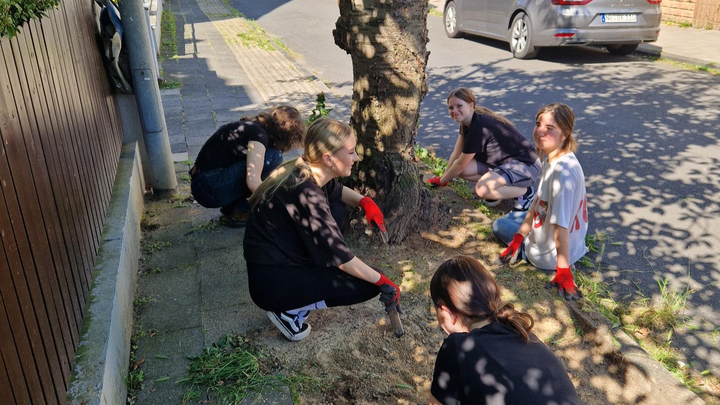 Hilf uns, unsere Schulhöfe zu begrünen! campaign photo, 1 of 7
