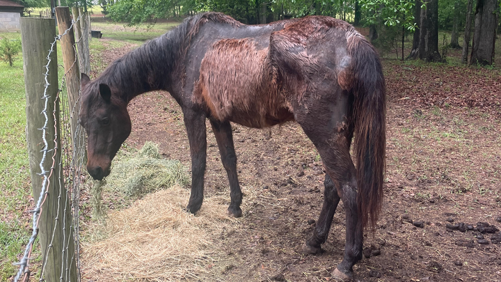 Hoofdafbeelding inzamelingsactie