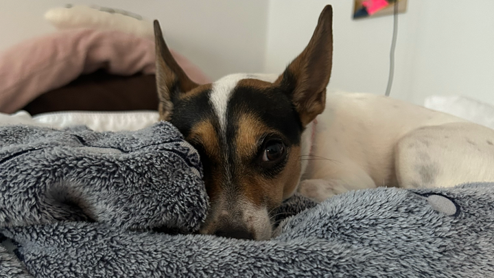 Help Edie recover! campaign photo, 1 of 6