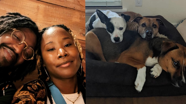 Help Chris & Klia Brown with veterinary bills. campaign photo, 1 of 3