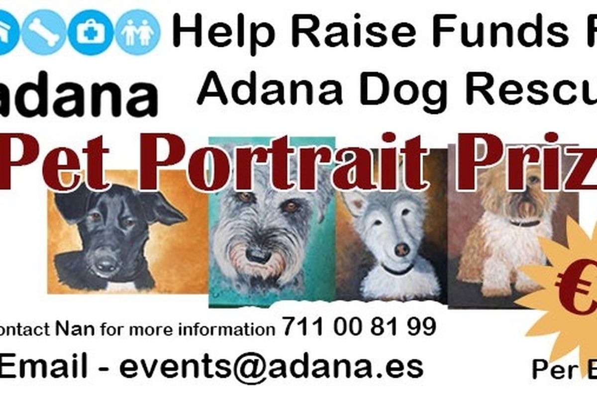 Fundraiser By Antony Johnson Help Needed For Adana Dog Rescue Shelter