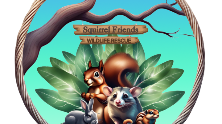 Help rescue NC wildlife!! campaign photo, 1 of 3