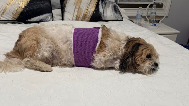 Has punctured lung, can’t afford surgery, pls help campaign photo, 1 of 8