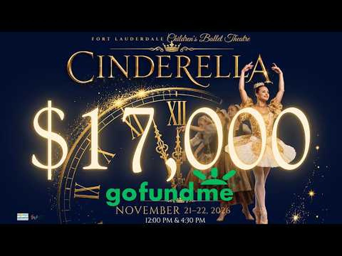 Fundraiser’s main image