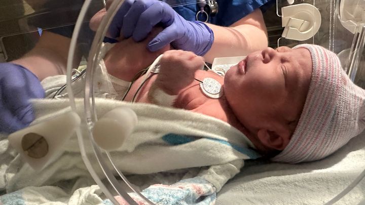 Help Support the McQueens Baby’s Heart Journey campaign photo, 1 of 4
