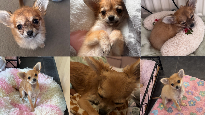 Donate to help with Ivy’s medical bills campaign photo, 1 of 3