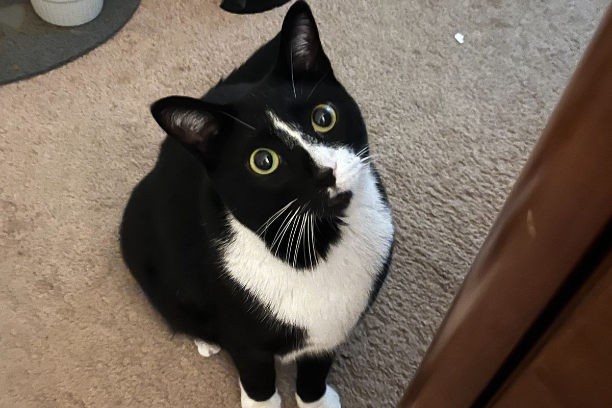 Fundraiser by Matt Ziminsky : He's More Than a Pet - He's Family