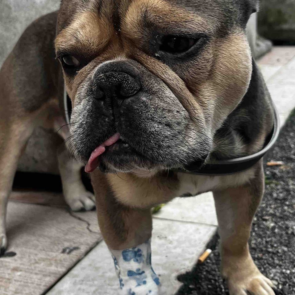 Salviamo Pablo: diamo futuro al mio piccolo guerriero♥️