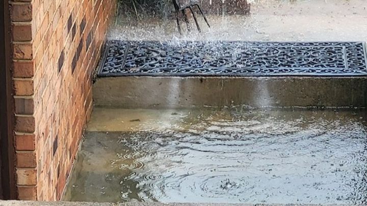 Foto principal de la recaudación de fondos