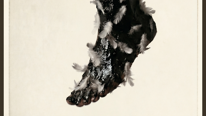 Be a Founder of Social Animal Theater campaign photo, 1 of 8