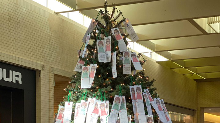 Help Emily Bring Christmas Joy to Kids campaign photo, 1 of 3