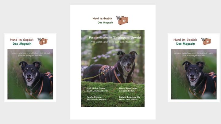Hund im Gepäck als Printmagazin campaign photo, 1 of 3