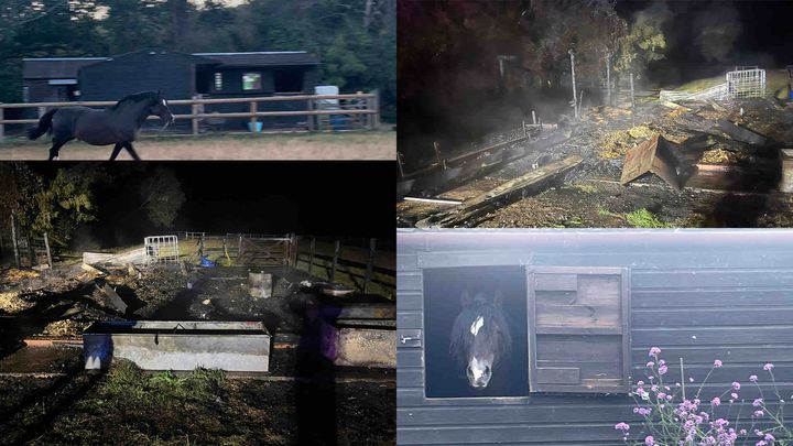 Help with my Mums stable yard after it burnt down campaign photo, 1 of 11