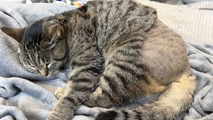 Kampagnen-Foto für Unterstützung für die kleine Lilo nach Unfall, 1 von 8