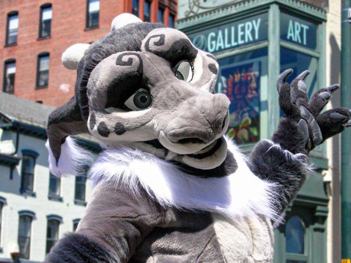 Fundraiser’s main image