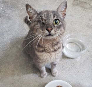 ROOTSNWHISKERS