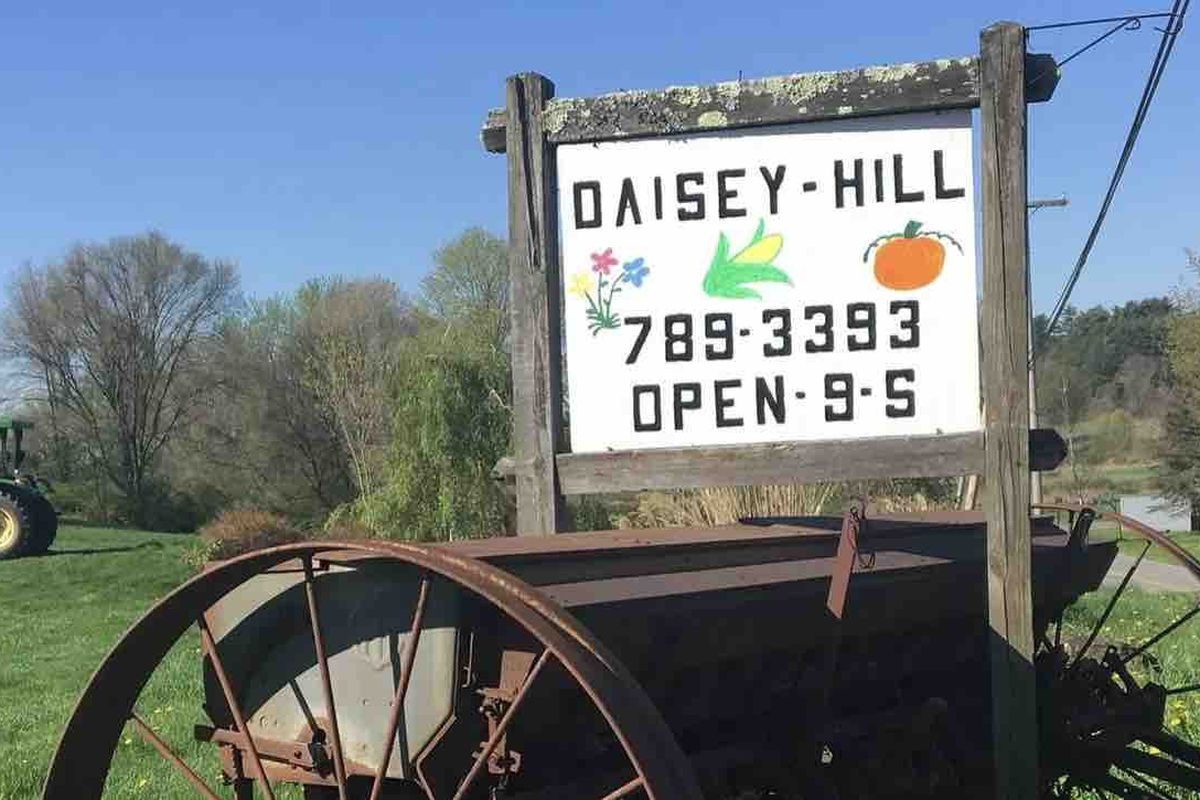 Fundraiser for Jessica Cookingham by Hailey Cookingham : Saving Daisey Hill