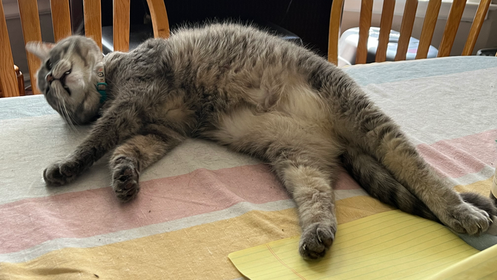 Help Shiv Get Life-Saving Treatment campaign photo, 1 of 3