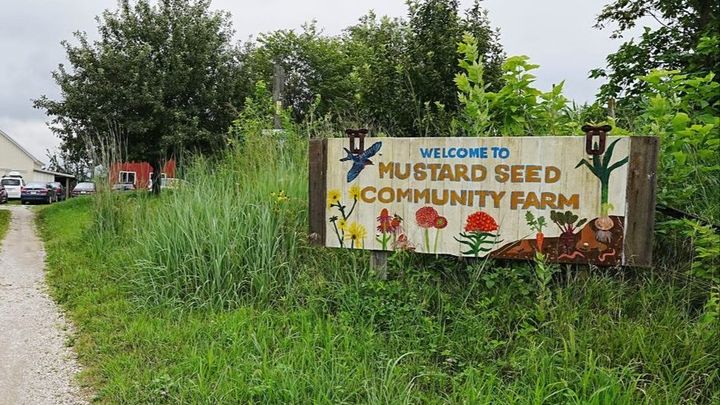 Help Our Mustard Seed Grow campaign photo, 1 of 8