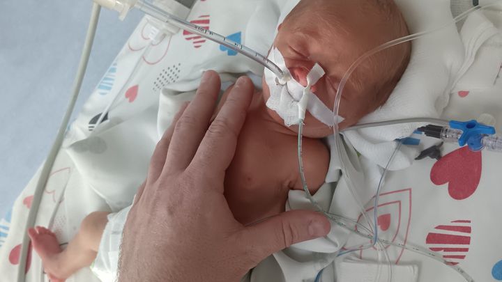 Help Micro-Preemie Alyssia Fight For Her Life in NICU campaign photo, 1 of 8
