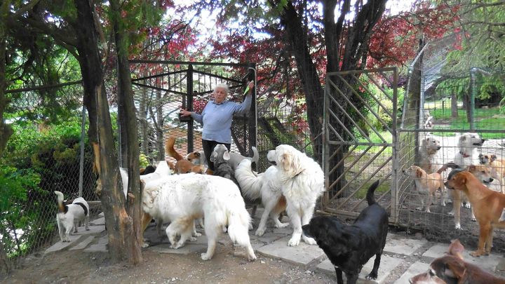 Aiutiamo il rifugio Agrilia: 120 cani hanno bisogno di noi campaign photo, 1 of 8