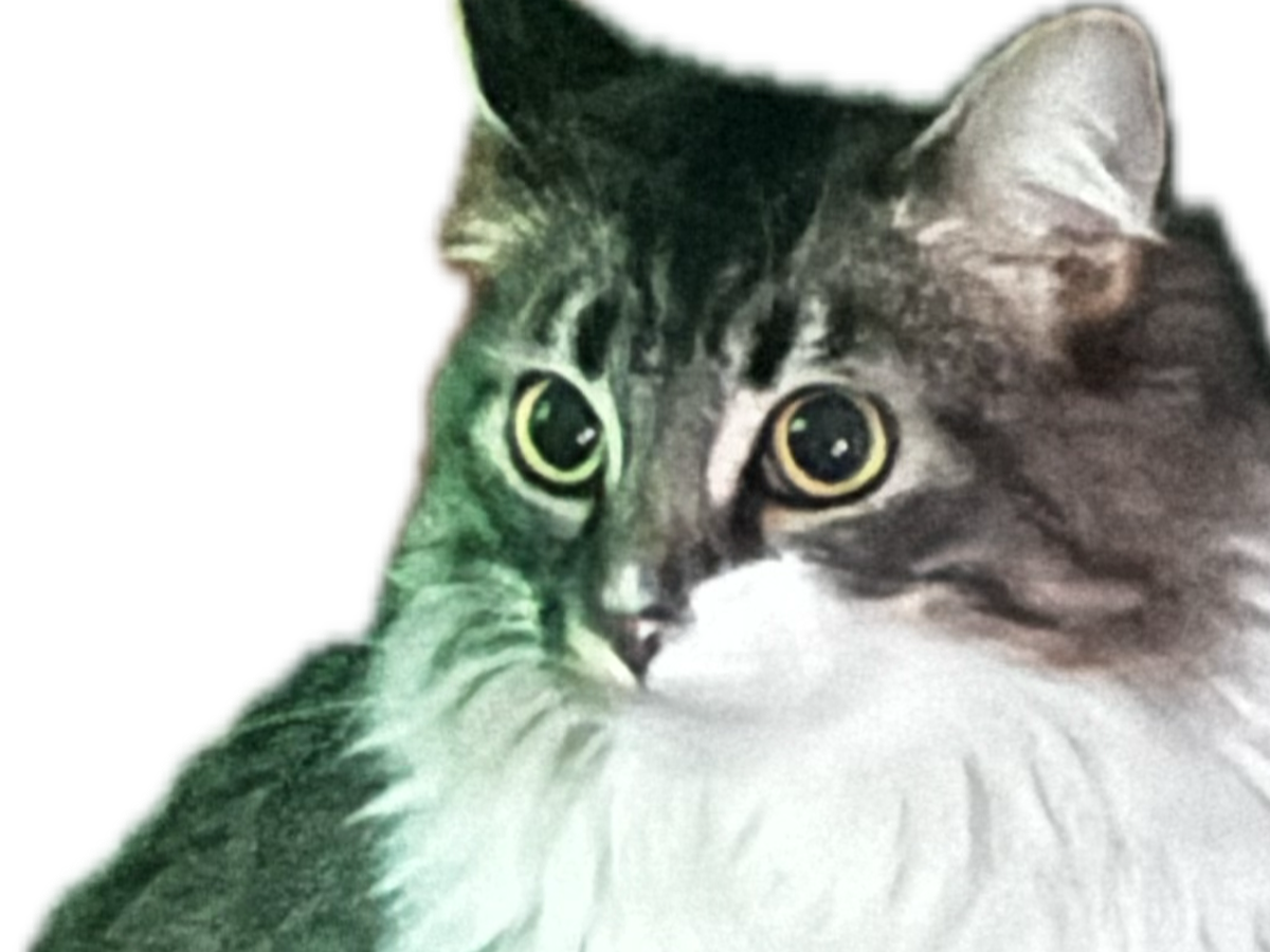 Fundraiser’s main image