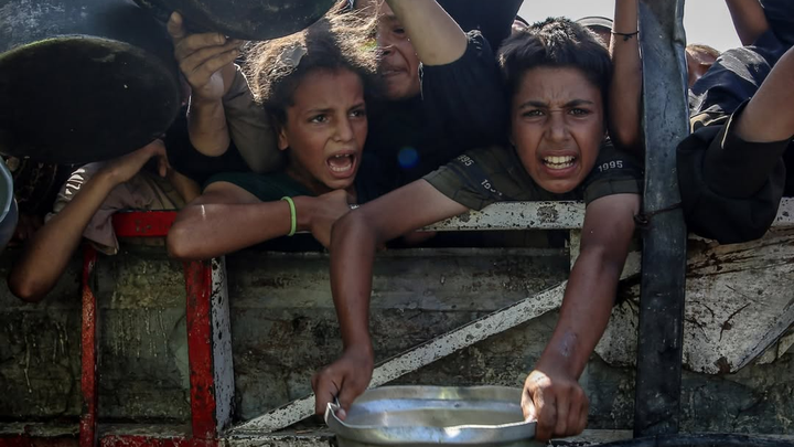 Support Palestinian Writers, Hungry Children & Stray Animals campaign photo, 1 of 3