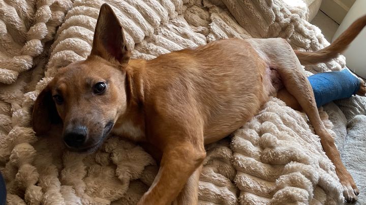 Help Todo Walk Into His Second Chance ❤️ campaign photo, 1 of 8