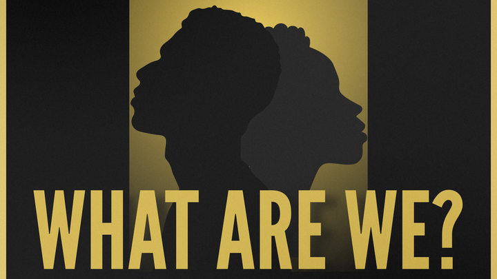 What Are We? - Crowd Funding campaign photo, 1 of 4