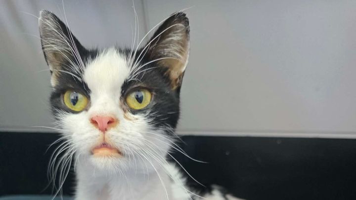 Support Yara, Peaches, and Paraly's Care campaign photo, 1 of 8