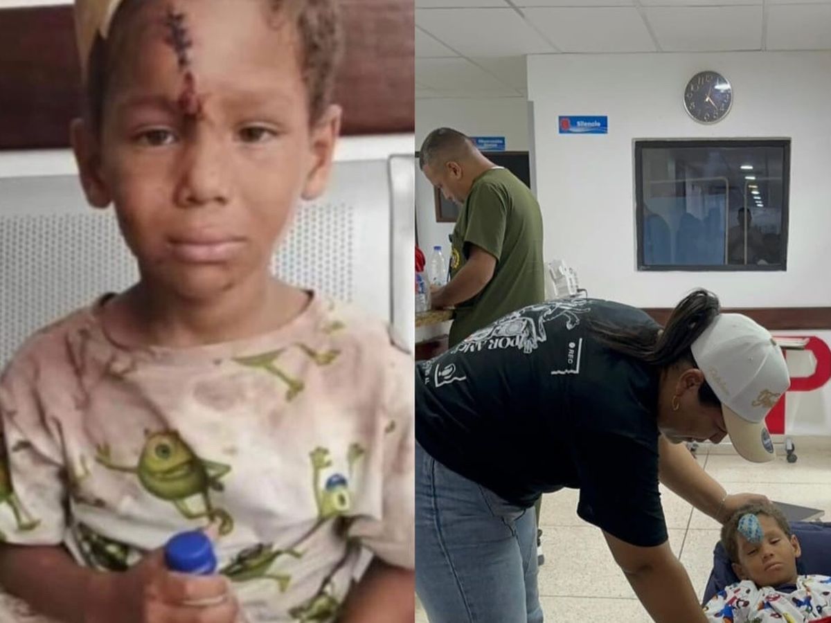 Imagen principal de la recaudación de fondos