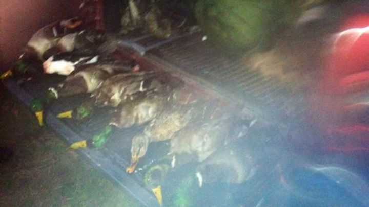 Main fundraiser photo