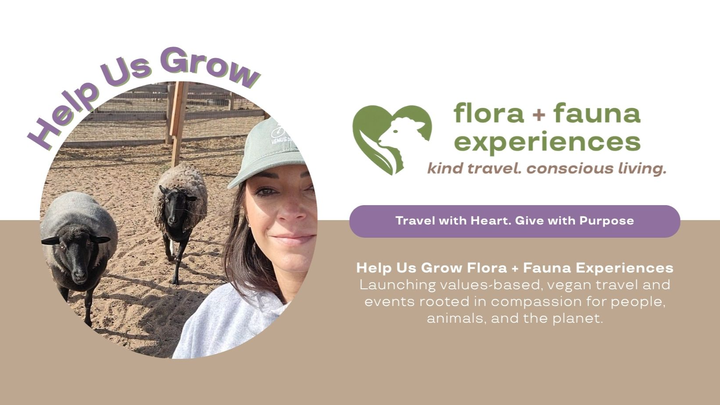 Help Us Grow Flora & Fauna Experiences: Kind Travel & Events campaign photo, 1 of 4