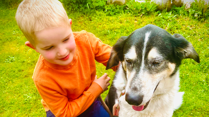 Ein Assistenzhund für Benno campaign photo, 1 of 3