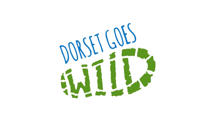 Dorset goes WILD CIC campaign photo, 1 of 3