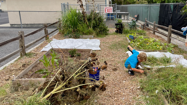 The Kinder Garden: Growing Curious Minds at La Costa Heights campaign photo, 1 of 8