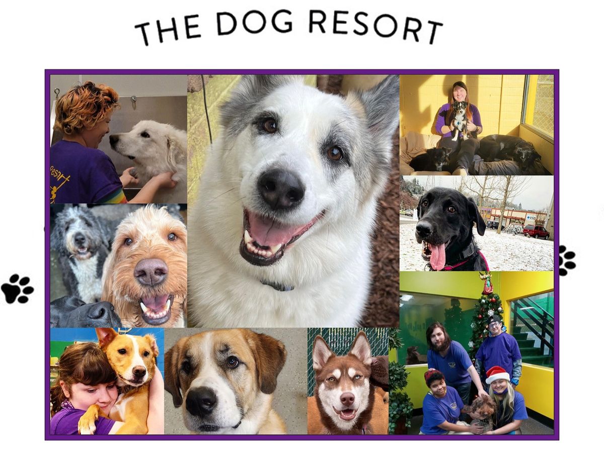 Dog store resort sodo