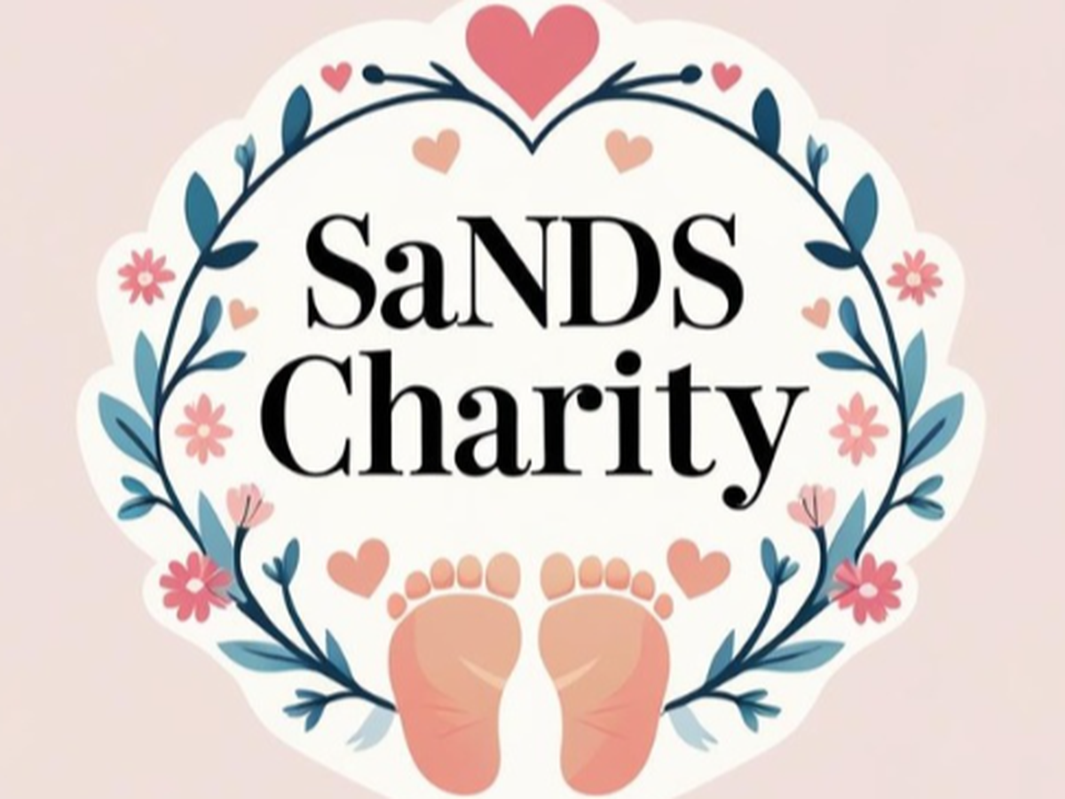 Fundraiser’s main image
