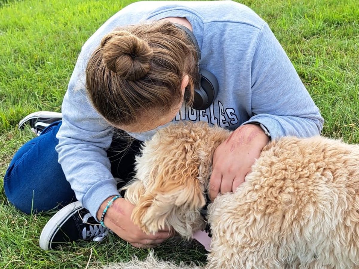 Wonder op 4 poten; een hulphond campaign photo, 1 of 3