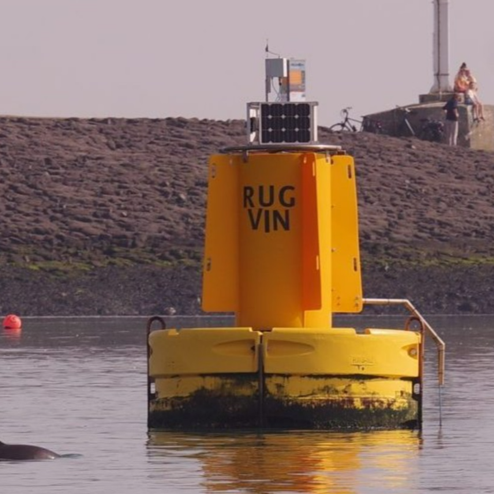 Geef de bruinvis weer een stem!