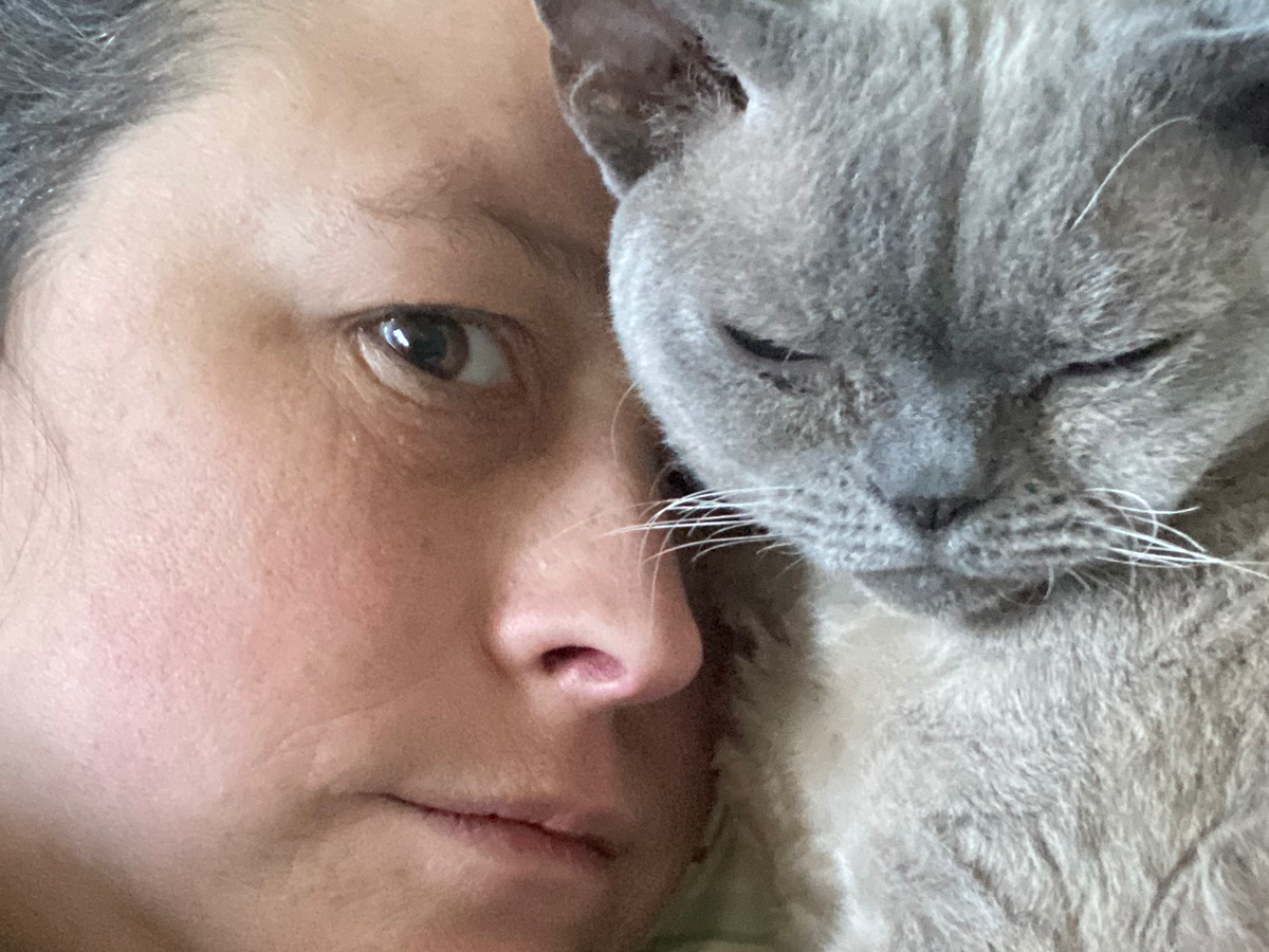 Support a Cat Lady in Need of a Home campaign photo, 1 of 8