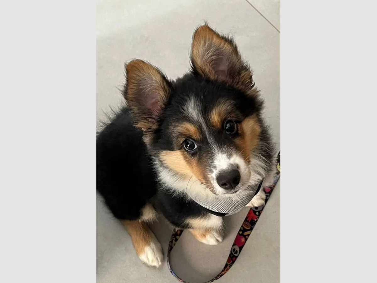 She gives me hope, and I wanna give her a home campaign photo, 1 of 5