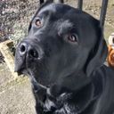 Profile photo of Paul Rees