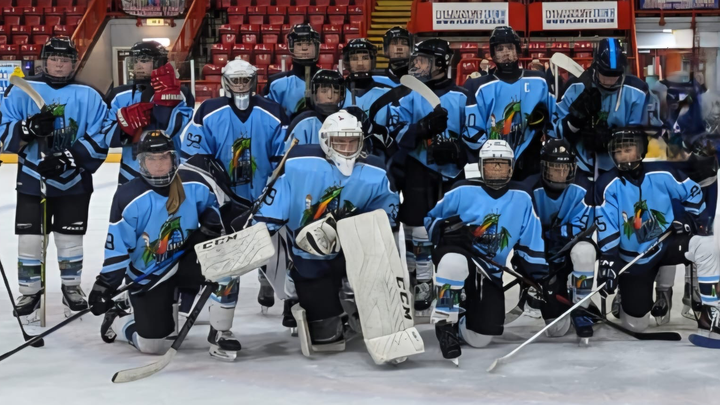 Help Coventry Blaze Academy U16's Team Raise £2500 campaign photo, 1 of 4