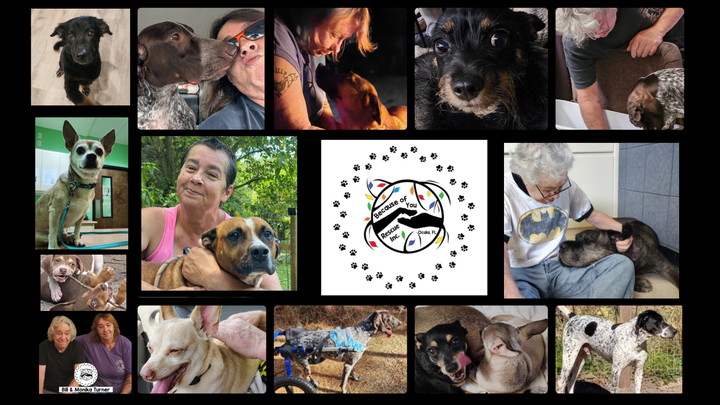 Support Because of You Rescue and Monika Turner After Loss campaign photo, 1 of 3