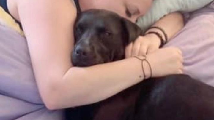 Help Save Apollo & Heal: Surgery & Cancer Testing “My Angel” campaign photo, 1 of 8