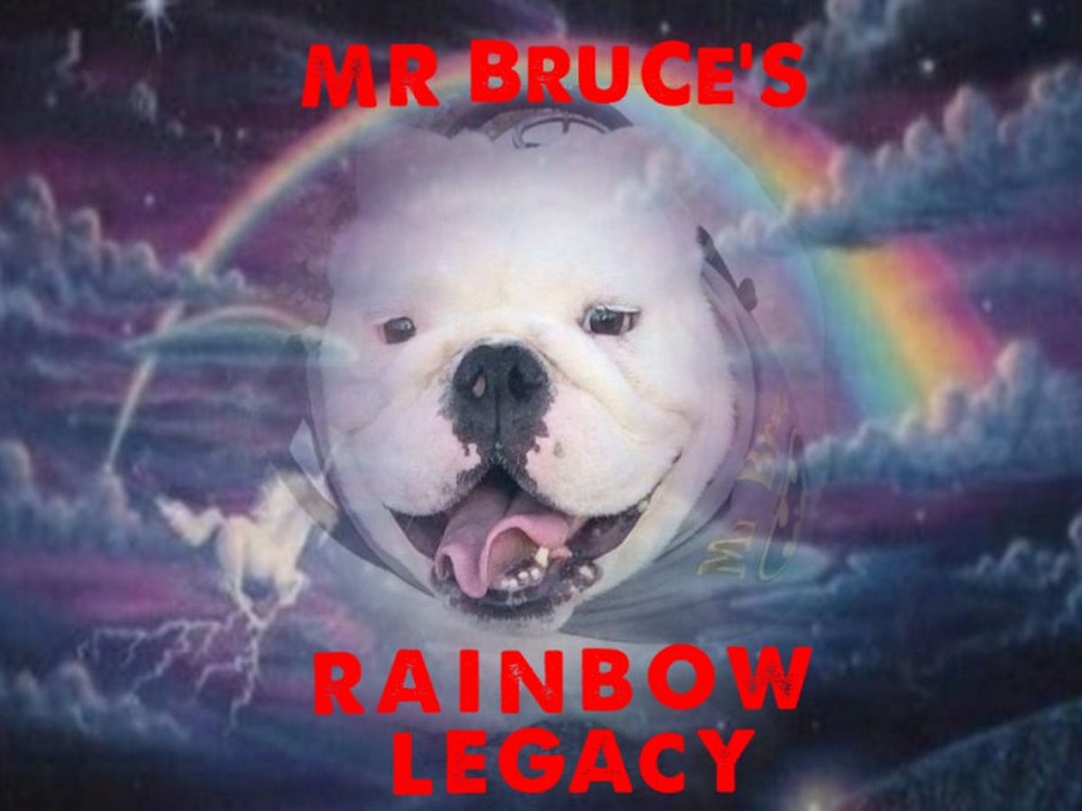 Fundraiser’s main image
