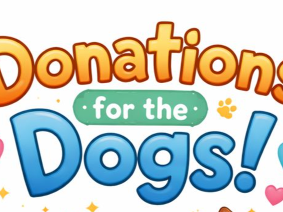 Fundraiser’s main image