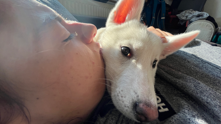 Autistisch&OFW–Kampf um einen SafePlace für meinen Hund&mich campaign photo, 1 of 3