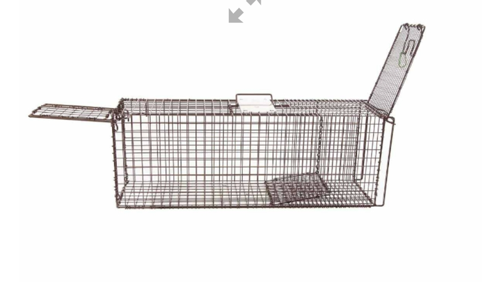 Donate for Essential Traps to Aid Roza's TNR Work campaign photo, 1 of 6